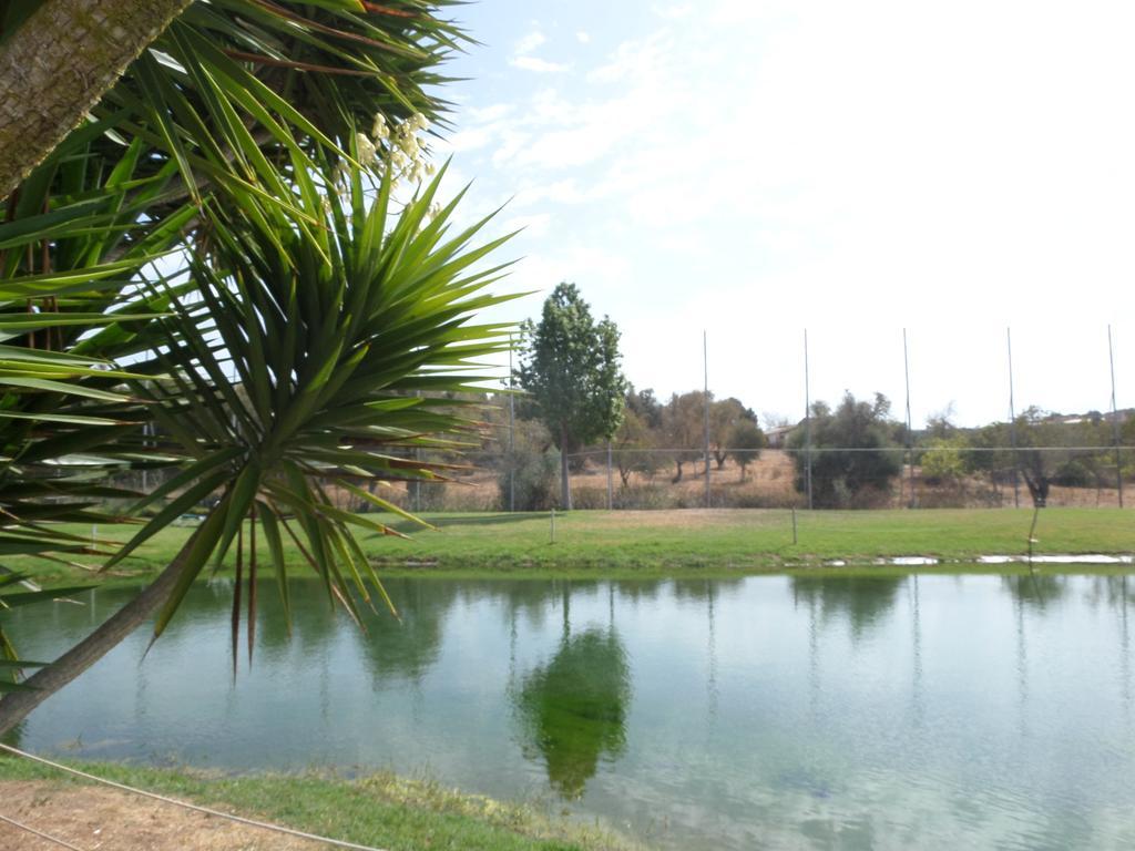 Yellow Alvor Garden Εξωτερικό φωτογραφία