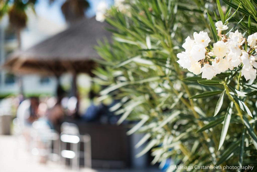 Yellow Alvor Garden Εξωτερικό φωτογραφία